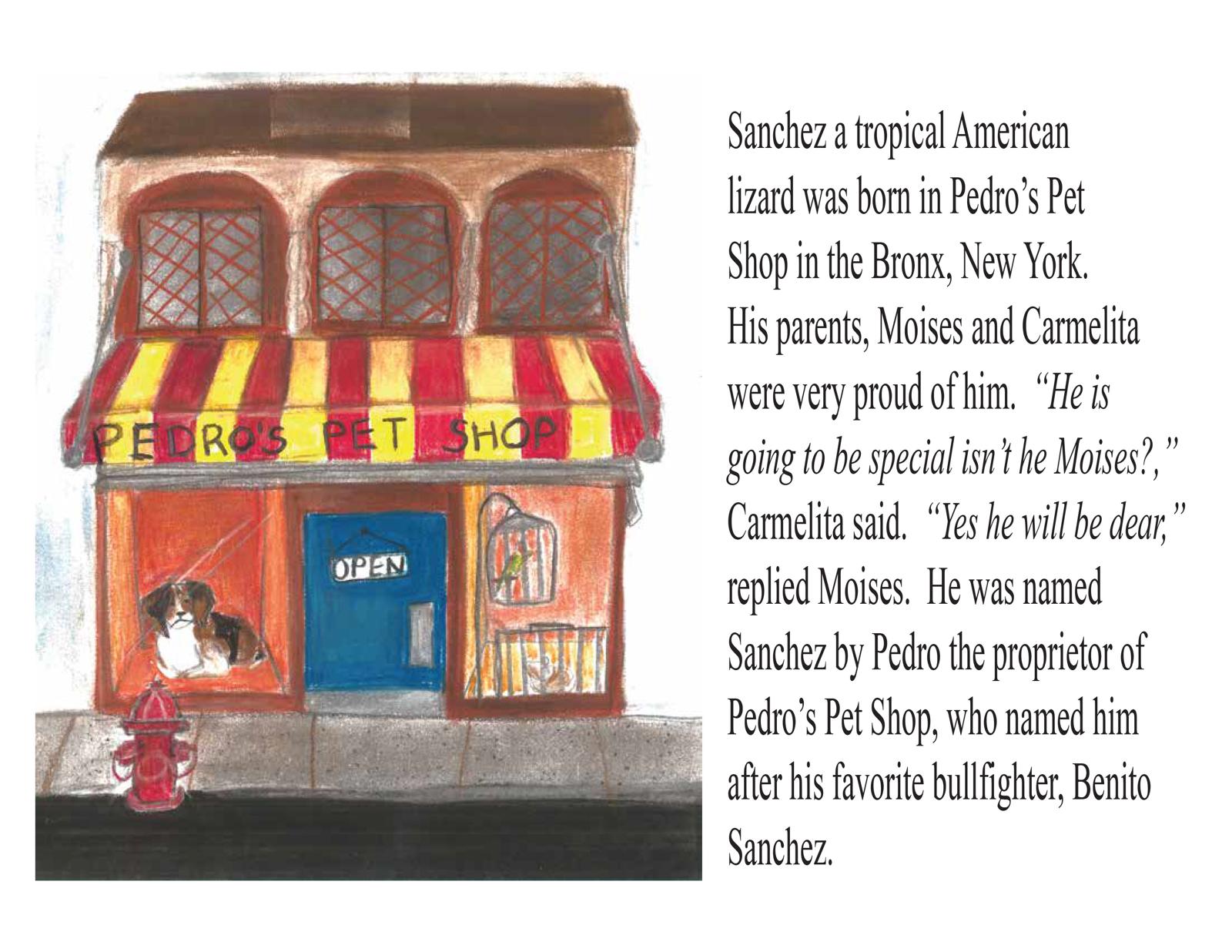 Book - Sanchez the Iguana - The greatest bullfighter in all of Espania